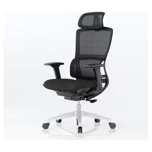 FlexiSpot Office Chair With Lumbar Support - Work Well HQ