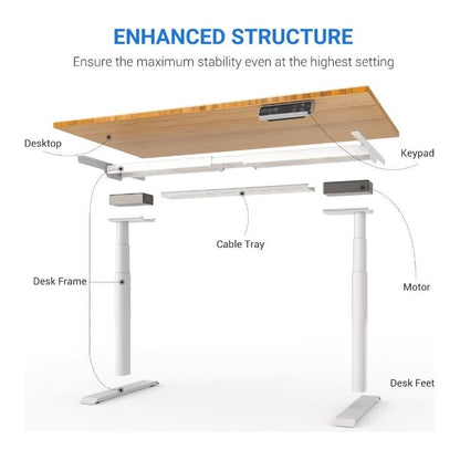 FlexiSpot Standing Desk For WFO and WFH - Work Well HQ