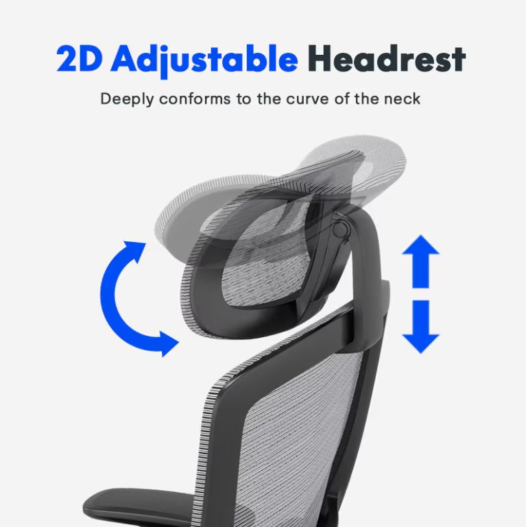 FlexiSpot Office Chair With Lumbar Support - Work Well HQ