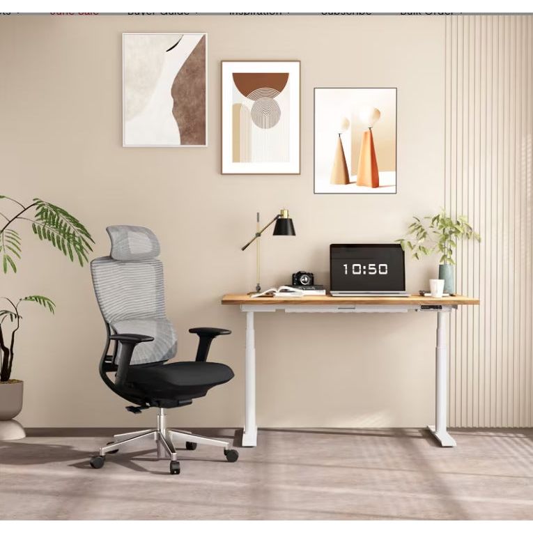 FlexiSpot Office Chair With Lumbar Support - Work Well HQ