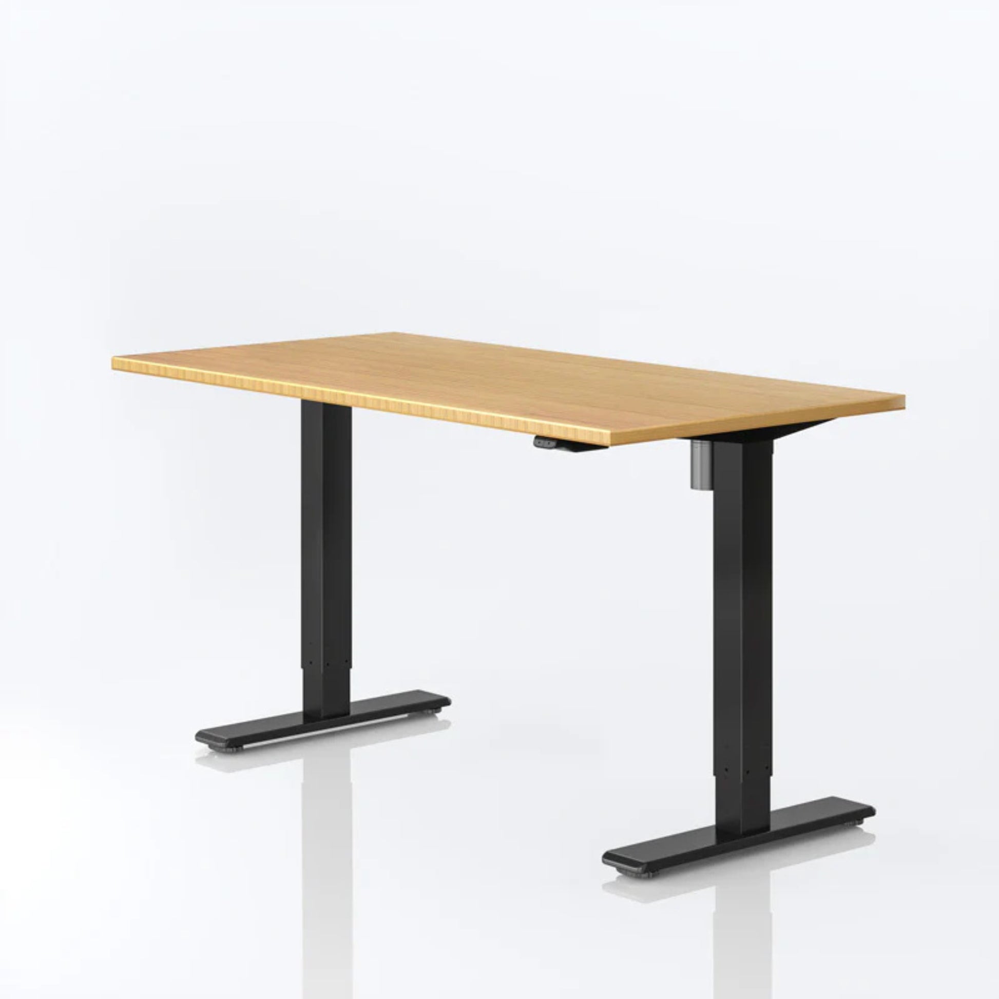 Flexi Spot Classic Electric Standing Desk1