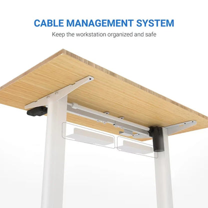 FlexiSpot Classic Electric Standing Desk 5