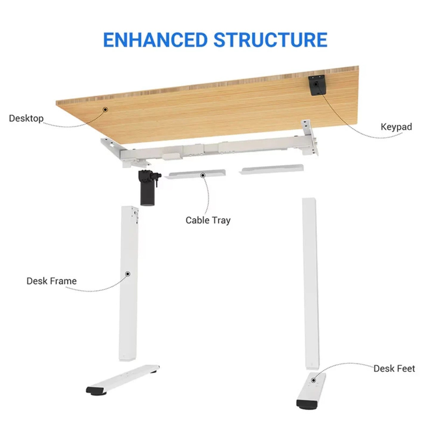 FlexiSpot Classic Electric Standing Desk 7