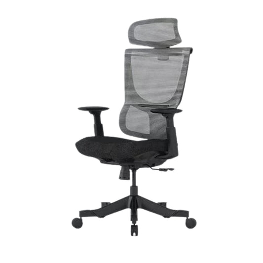 FlexiSpot Ergonomic Office Chair