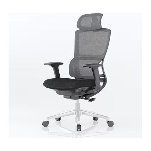 FlexiSpot Office Chair With Lumbar Support - Work Well HQ